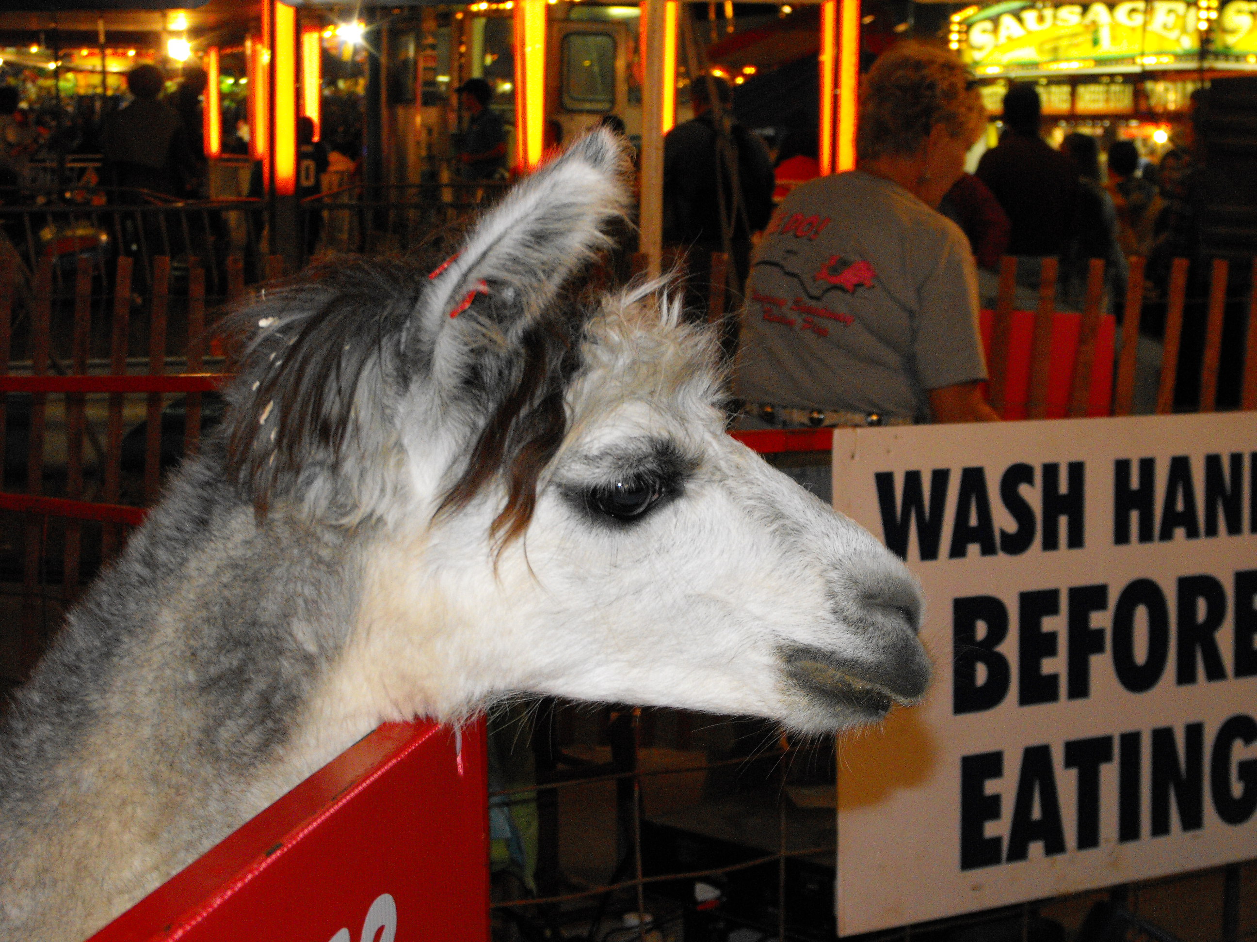 ./2009/State Fair/State Fair pt 1 0148.JPG